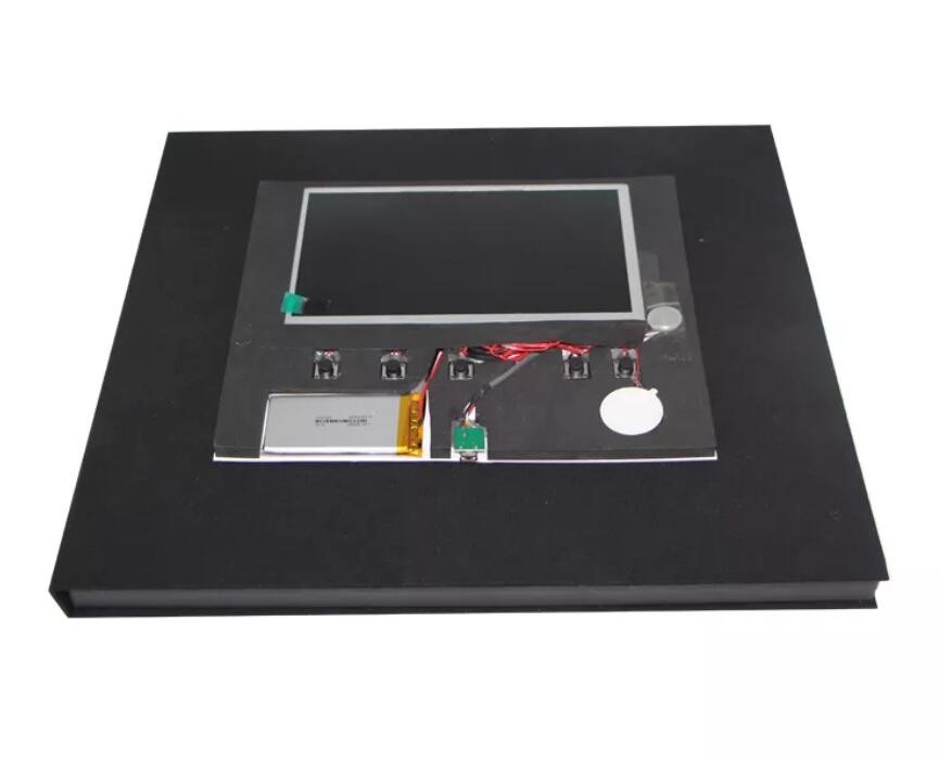 10 inch video player LCD display module with sound and volume memory