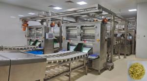 Automatic Extruded Instant Noodle Production Line
