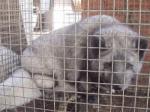 Breeding Galvanized Welded Steel Wire Mesh 3.0mm Aquaculture Net