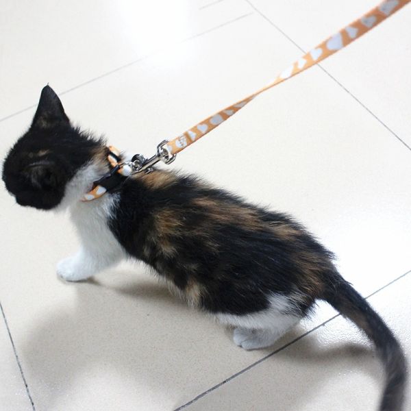 Sustainable Polyester Tactical Adjustable Pet Collars Leashes