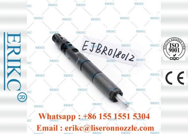 Quality EJBR01801Z Diesel Auto Delphi Common Rail Diesel Injectors 8200049873 for sale