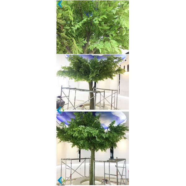 T10112 happy tree.jpg