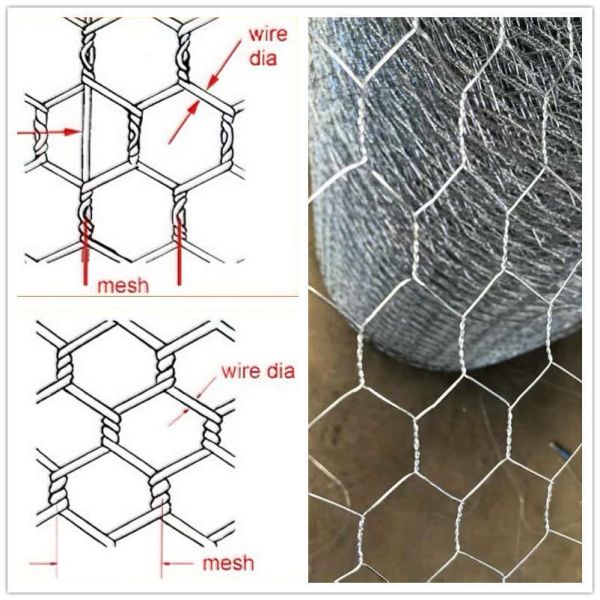 Galvanized PVC Coated Brass Hexagonal Wire Mesh Chicken Fence Anti Corrosion