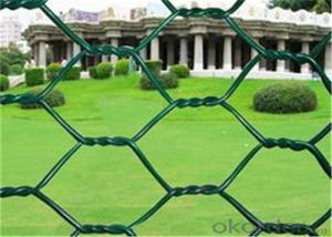 PVC Coated Width 2.0m BWG22 Diamond Wire Netting
