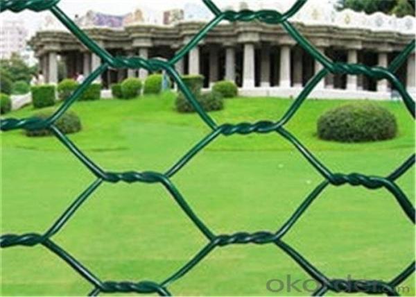 Quality PVC Coated Width 2.0m BWG22 Diamond Wire Netting for sale