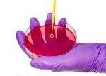 Disposable Microbiology Plastic 1ul 10ul Inoculating Loop With Needle Cell