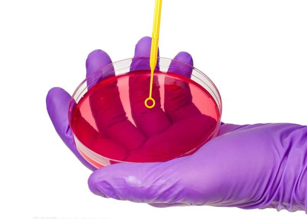 Quality Disposable Microbiology Plastic 1ul 10ul Inoculating Loop With Needle Cell Scraper for sale