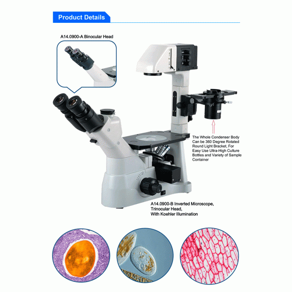 Kohler Illumination Inverted Light Microscope OPTO-EDU A14.0900