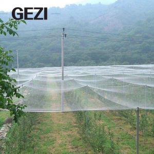 Buy cheap 32 mesh anti insect net garden nets, pest barriers to protect the fruits of garden plants from bird pests, plant protect product