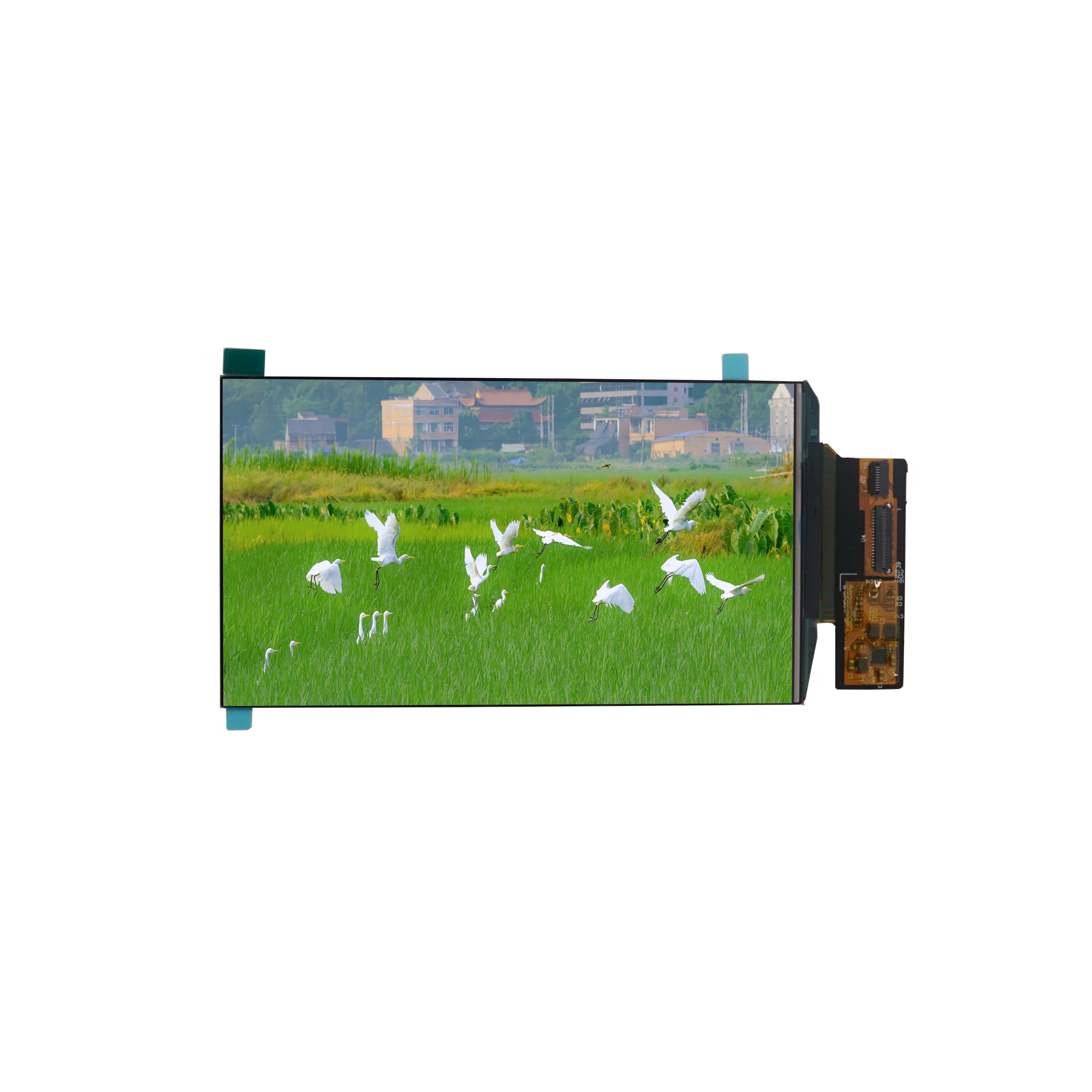 5 Inch HD IPS ALL Viewing OLED Display 720*1280 Resolution AMOLED LCD Display