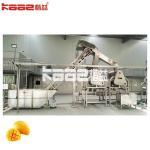 Automated Mango Juice Beverage Making Machine Mango Processing Production Line