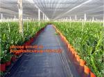 Green Construction Building Scaffolding Safety Net /Safety Mesh Netting
