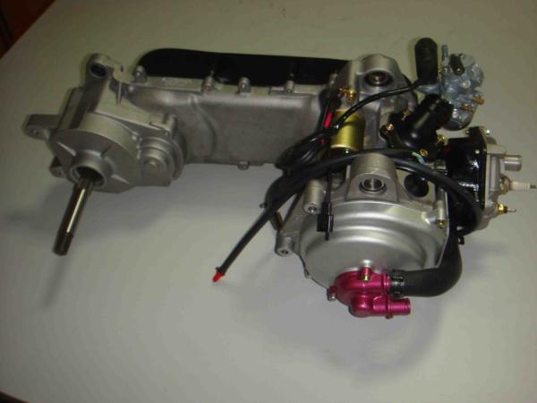 Quality 1PE40QMB 50CC 2-strokeswater cooled Engine for sale