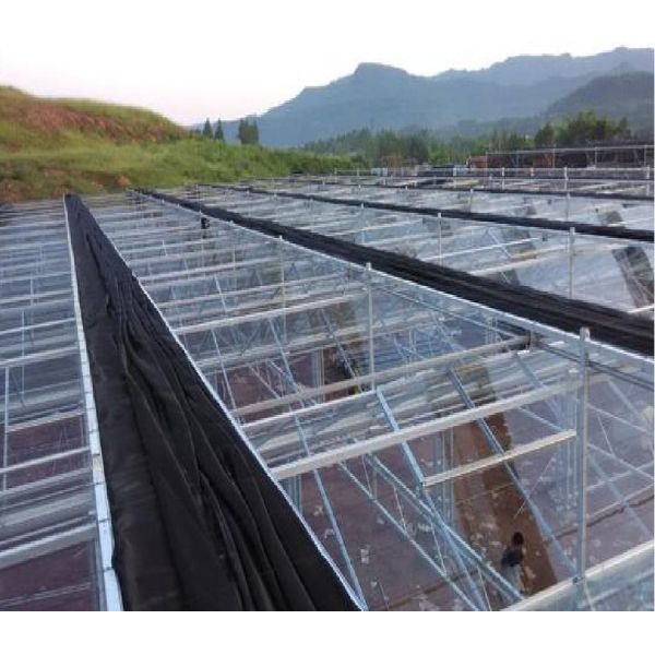 Agricultural Single-Span Tunnel Type Film Blackout Mushroom Greenhouse with Light Deprivation System for Medical Plants and Mushroom