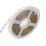 Hot Item RGB LED Strip Light with 3000K-6000K Color Temperature Options 12VDC