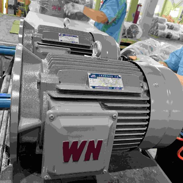 Quality IE5 Variable Speed Electric Motor for sale