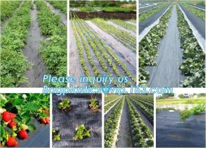 China mesh bag,insect net,anti hail net,weed mat,Polyester fiberglass anti insect net for insect screen window,anti insect mes on sale