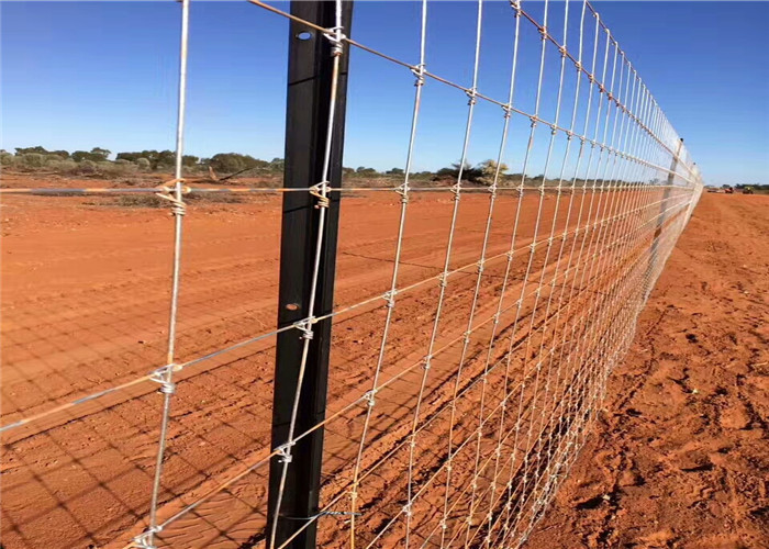 High Capacity Deer Mesh Fence Weaving Machine With Easy To Operating