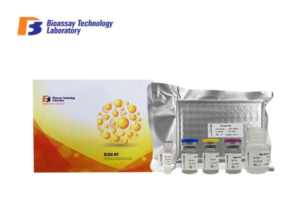 Quality 96 Wells Mouse High Specificity and Sensitivity IFNG ELISA Kit 48 Wells For Research for sale
