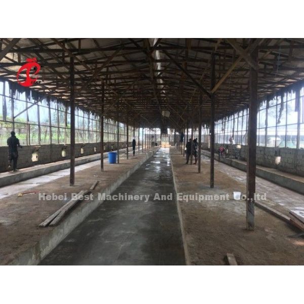 Fully Automatic 100 Chickens Poultry Battery Cage System H Type Hot Galvanized Adela
