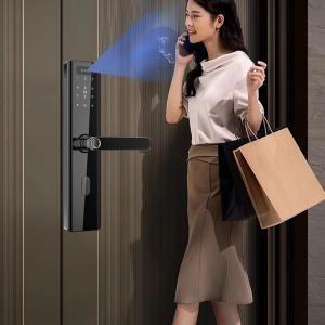 China Facial Recognition Smart Handle Door Lock Digital Code Card NFC Biometric Access on sale