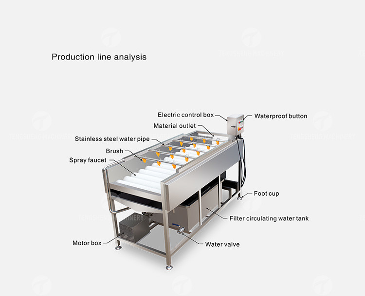 Multifunction Fruit And Vegetable Processing Line Parallel Brush Machine