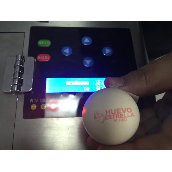 Poultry Husbandry Egg Small Character Inkjet Printer With USB Unlimited Storage