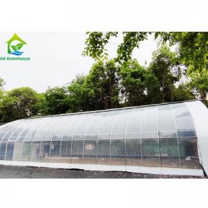 Buy cheap Auto Blackout Light Dep Greenhouse With Electric Film Rolling Tunnel Greenhouse product