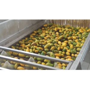 Buy cheap High Effective Small Scale Mango Processing Plant High Extracting Rate product