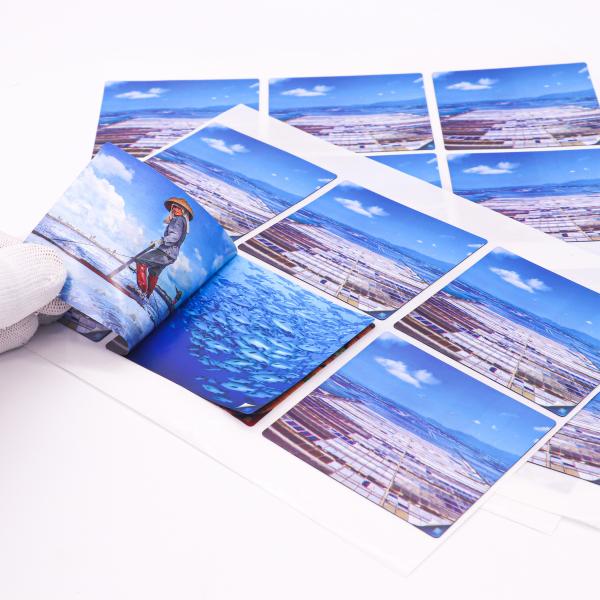 Peel and Reseal Multi layer Labels Peel and Reveal Sticker Labels Peel Off Sticker Labels