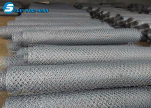 China supplier PVC/PE/plastic coated hexagonal wire mesh