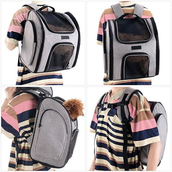 Ventilate Designed Collapsible Cat Carrier Bag , Airline Approved Pet Carrier Backpack