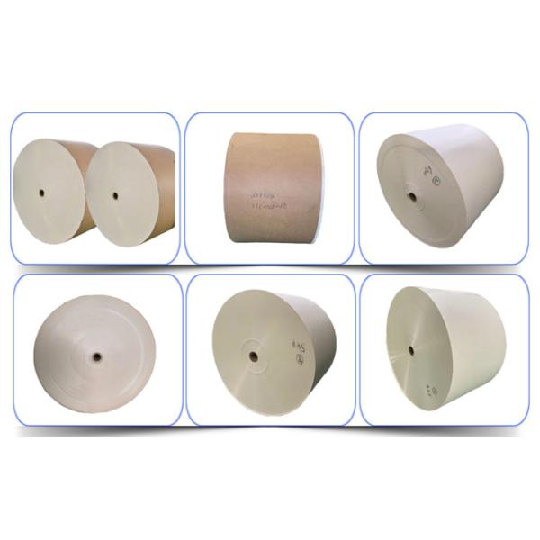 Disposable 167 Gsm PE Laminated Paper Roll For Paper Cup