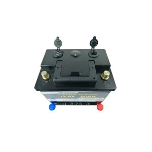 Toys 1024Wh 12V 80Ah LiFePO4 Battery For Electric Vehicles