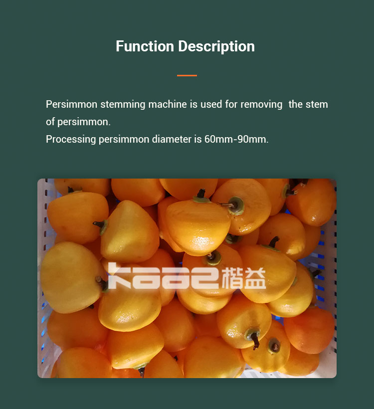 Sus304 Persimmon Dryer Persimmon Stemming Machine For Persimmon Processing Line