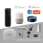 Electric Wifi Smart Plug 16a 2.2KW 3.5KW Itlay Standard Timer Smart Plug