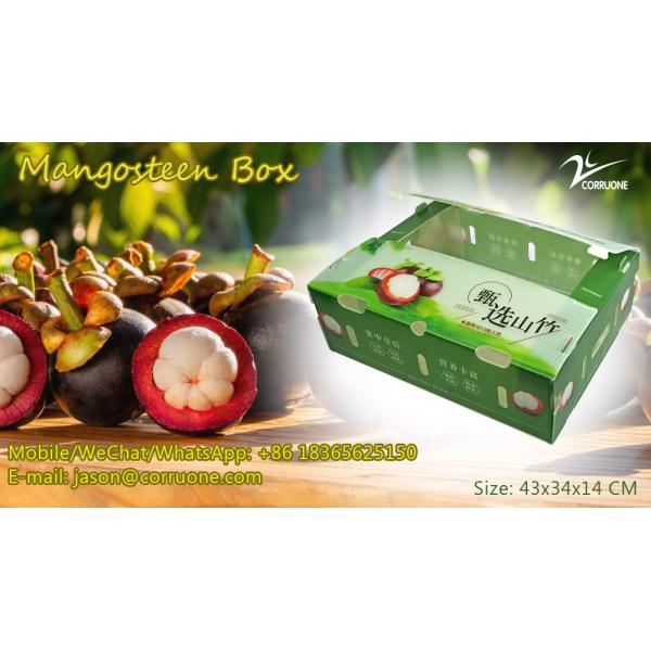 Broccoli PP Corrugated Sheet Box OEM Corrugated Polypropylene Boxes