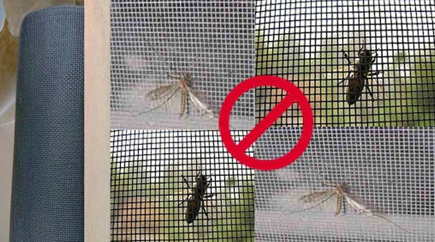 Rust Proof 20X20 18X18 16X16 Mesh Window Screen Mesh Stainless Steel Insect Screen