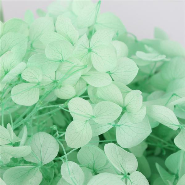 Fake Artificial Hydrangea Flowers , Real Touch Hydrangea Unique Gift Ideas