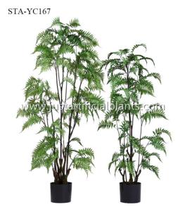 Buy cheap Stunning Artificial Fern Tree Realistic Timeless Beauty Color Change Leaves product