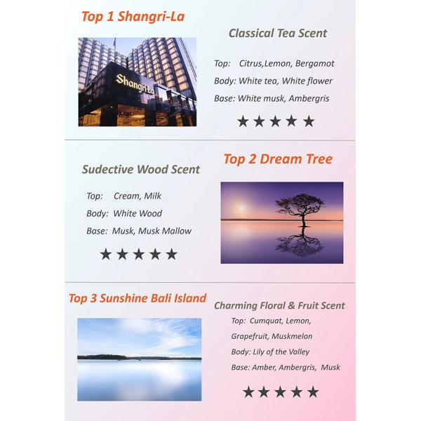 4L Fresh Air Reed Diffuser Refill Oil With Thousands Scents Optional