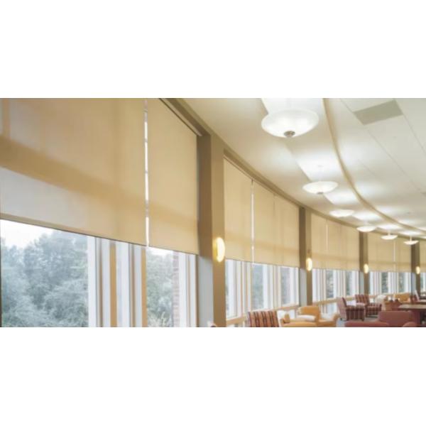 Window Polyester Roller Blackout Sunscreen Curtain Filtering Roll Up Blind Shades