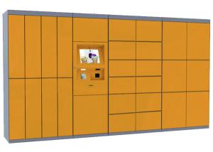 Intelligent Parcel Delivery Locker for Express Laundry Self Service