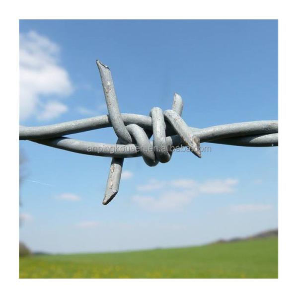 Affordable Safety Fence Barbed Wire with 1.6-3.2mm Wire Diameter and Two Wire Twist