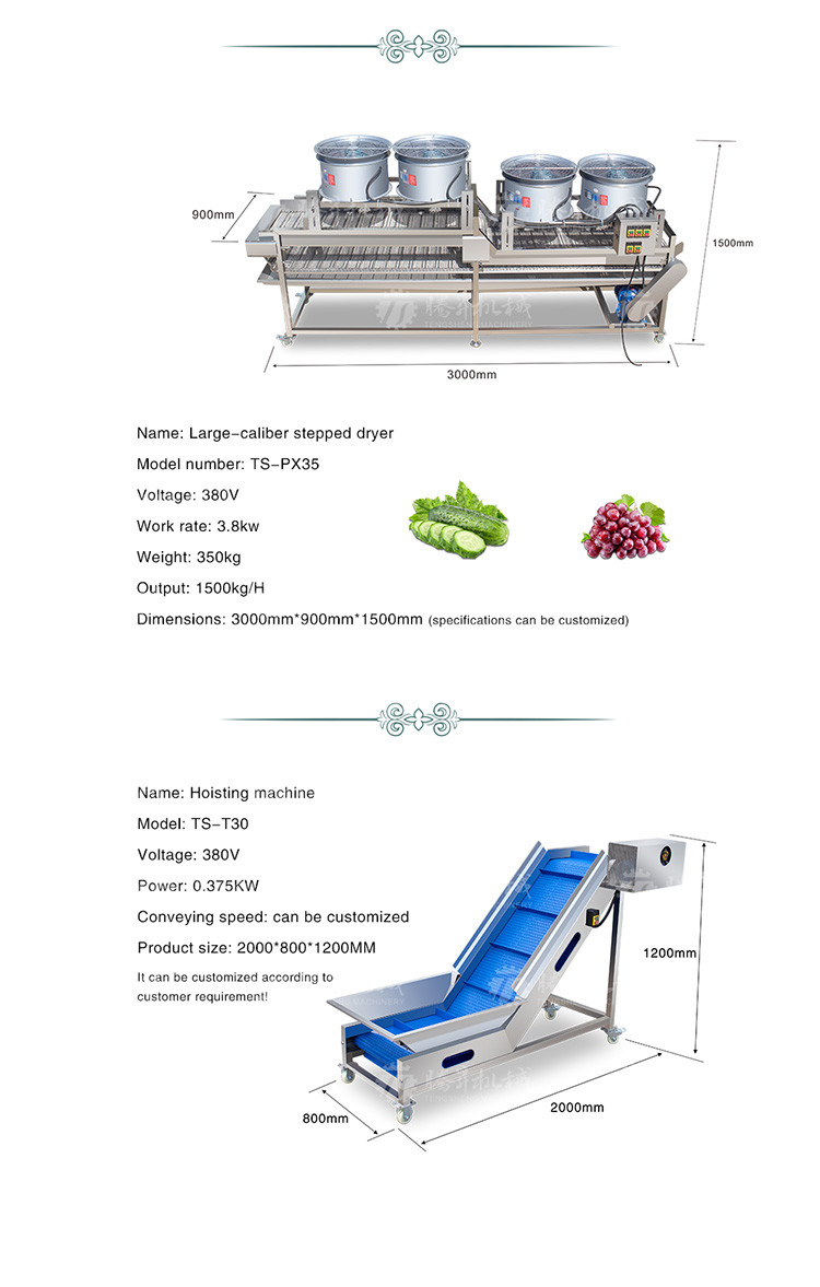 Revolutionize Your Production Process with Our Fruit And Vegetable Processing Line