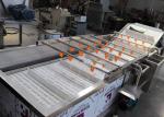 Multi Function 3.75KW Air Bubble Vegetable Washing Machine