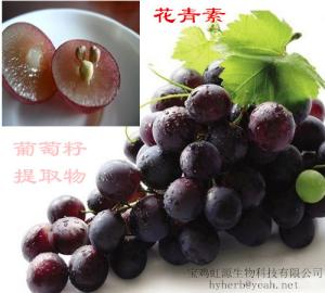 Buy cheap 98% OPC Grape seed extract product