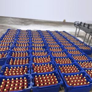 Buy cheap 40TPH Tomato Processing Line Automatic Concentrated Paste Making Machine product