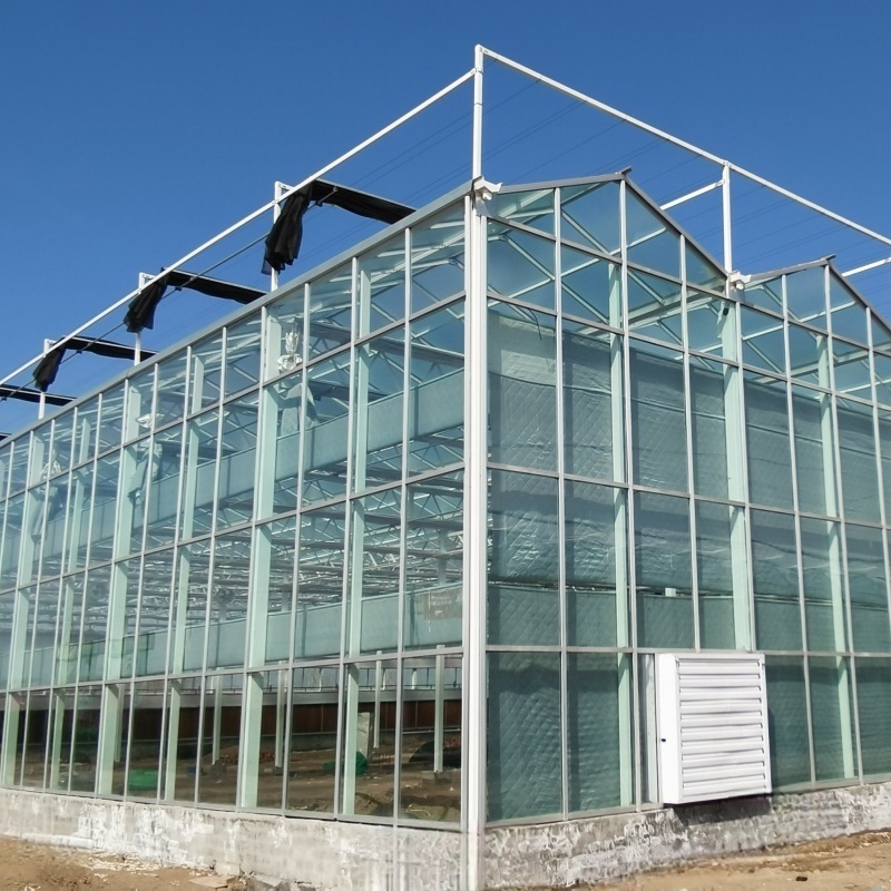 Shipping Container Leafy Vegetable Greenhouse