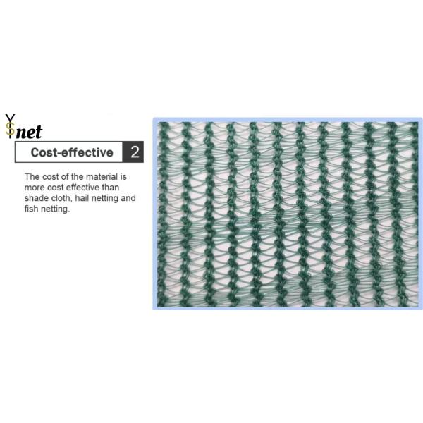 Hexagon Olive Harvest Net 30gsm - 200gsm Mulberry Harvesting Net